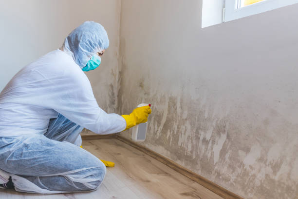 Mold Remediation specialist working in Marshall